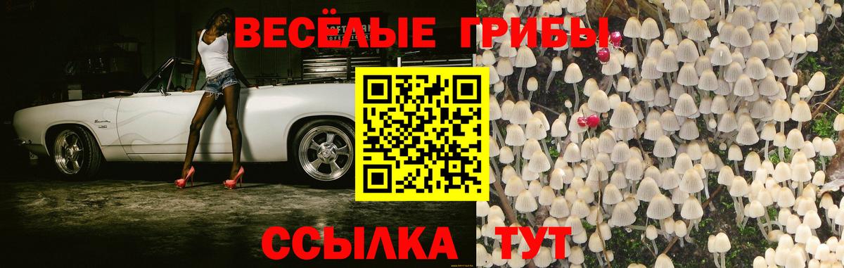 Псилоцибиновые грибы мицелий  Псилоцибиновые грибы прущие грибы  Нижнекамск  наркота  Вход с VPN 